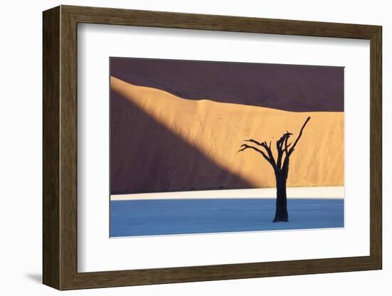 Dead Camelthorn Tree Said to Be Centuries Old-Lee Frost-Framed Photographic Print