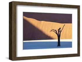 Dead Camelthorn Tree Said to Be Centuries Old-Lee Frost-Framed Photographic Print