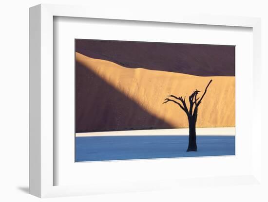 Dead Camelthorn Tree Said to Be Centuries Old-Lee Frost-Framed Photographic Print