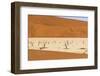 Dead Camelthorn trees on sand, Deadvlei, Sossusvlei, Namib Desert, Namibia, June.-Emanuele Biggi-Framed Photographic Print