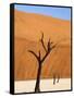 Dead Camelthorn Trees Said to Be Centuries Old Against Towering Orange Sand Dunes Bathed-Lee Frost-Framed Stretched Canvas