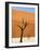 Dead Camelthorn Trees Said to Be Centuries Old Against Towering Orange Sand Dunes Bathed-Lee Frost-Framed Photographic Print