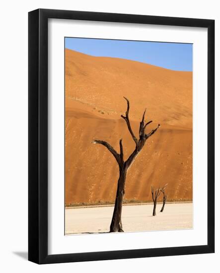 Dead Camelthorn Trees Said to Be Centuries Old Against Towering Orange Sand Dunes Bathed-Lee Frost-Framed Photographic Print