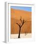 Dead Camelthorn Trees Said to Be Centuries Old Against Towering Orange Sand Dunes Bathed-Lee Frost-Framed Photographic Print