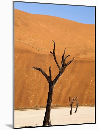 Dead Camelthorn Trees Said to Be Centuries Old Against Towering Orange Sand Dunes Bathed-Lee Frost-Mounted Photographic Print