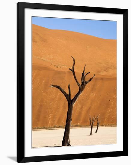 Dead Camelthorn Trees Said to Be Centuries Old Against Towering Orange Sand Dunes Bathed-Lee Frost-Framed Photographic Print