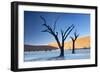 Dead Camelthorn Trees Said to Be Centuries Old-Lee Frost-Framed Photographic Print