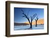 Dead Camelthorn Trees Said to Be Centuries Old-Lee Frost-Framed Photographic Print