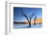 Dead Camelthorn Trees Said to Be Centuries Old-Lee Frost-Framed Photographic Print