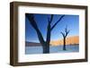 Dead Camelthorn Trees Said to Be Centuries Old-Lee Frost-Framed Photographic Print