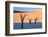 Dead Camelthorn Trees Said to Be Centuries Old-Lee Frost-Framed Photographic Print