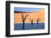 Dead Camelthorn Trees Said to Be Centuries Old-Lee Frost-Framed Photographic Print
