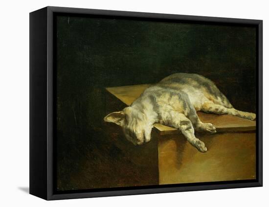 Dead cat. Oil on canvas,50 x 61 cm.-Theodore Gericault-Framed Stretched Canvas