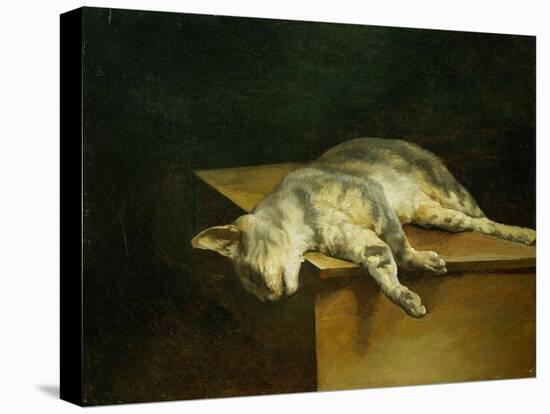 Dead cat. Oil on canvas,50 x 61 cm.-Theodore Gericault-Stretched Canvas