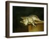 Dead cat. Oil on canvas,50 x 61 cm.-Theodore Gericault-Framed Giclee Print