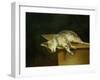 Dead cat. Oil on canvas,50 x 61 cm.-Theodore Gericault-Framed Giclee Print