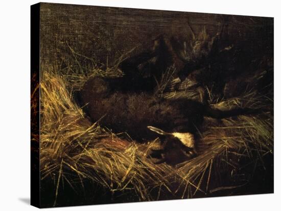 Dead Chamois, 1882-Giovanni Segantini-Stretched Canvas