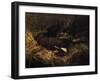 Dead Chamois, 1882-Giovanni Segantini-Framed Giclee Print