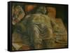 Dead Christ (The Foreshortened Christ)-Andrea Mantegna-Framed Stretched Canvas