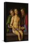 Dead Christ with Joseph of Arimathea and Nicodemus (Sepulchrum Christi), C.1494-98 (Oil & Tempera O-Pietro Perugino-Framed Stretched Canvas