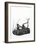 Dead Cockroach, 2014-Bella Larsson-Framed Giclee Print