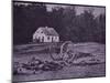 Dead Confederate Gun Crew after Battle of Antietam, 1862-Alexander Gardner-Mounted Photographic Print