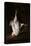 Dead Cook, 1659-1660-Gabriel Metsu-Stretched Canvas