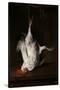 Dead Cook, 1659-1660-Gabriel Metsu-Stretched Canvas