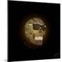 Dead Cool - Skull with Sunglasses-Dominique Vari-Mounted Art Print