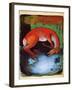 Dead Deer, 1913-Franz Marc-Framed Giclee Print