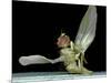 Dead Fly, SEM-Volker Steger-Mounted Photographic Print