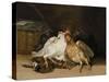 Dead Fowl, 1808-1812-Francisco de Goya-Stretched Canvas