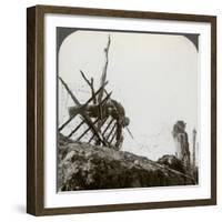 Dead German Soldiers on the Wire after a Night Raid, Givenchy, France, World War I, 1914-1918-null-Framed Photographic Print
