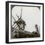 Dead German Soldiers on the Wire after a Night Raid, Givenchy, France, World War I, 1914-1918-null-Framed Photographic Print