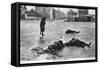 Dead German Soldiers, Soissons, France, 1914-null-Framed Stretched Canvas