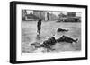 Dead German Soldiers, Soissons, France, 1914-null-Framed Giclee Print