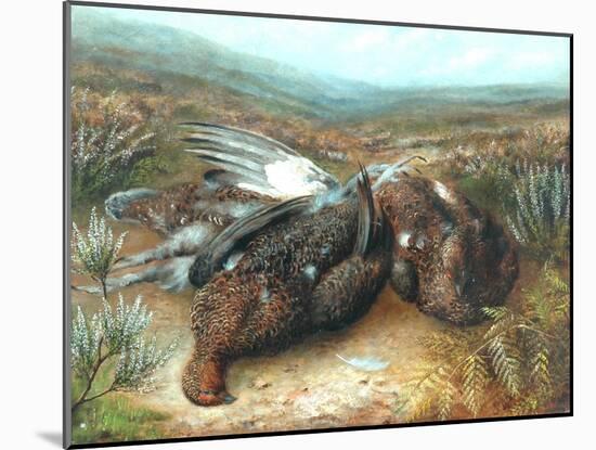Dead Grouse in Landscape-null-Mounted Giclee Print