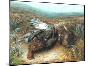 Dead Grouse in Landscape-null-Mounted Giclee Print