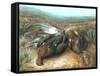 Dead Grouse in Landscape-null-Framed Stretched Canvas