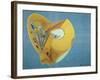 Dead Head No. 2-Alexander Vorobyev-Framed Giclee Print