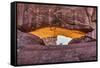 Dead Horse Point, Canyonlands National Park, Utah-John Ford-Framed Stretched Canvas