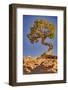 Dead Horse Point, Canyonlands National Park, Utah-John Ford-Framed Photographic Print