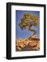 Dead Horse Point, Canyonlands National Park, Utah-John Ford-Framed Photographic Print