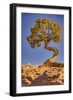 Dead Horse Point, Canyonlands National Park, Utah-John Ford-Framed Photographic Print