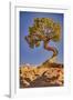 Dead Horse Point, Canyonlands National Park, Utah-John Ford-Framed Photographic Print