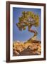 Dead Horse Point, Canyonlands National Park, Utah-John Ford-Framed Photographic Print