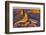 Dead Horse Point, Canyonlands National Park, Utah-John Ford-Framed Photographic Print