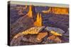 Dead Horse Point, Canyonlands National Park, Utah-John Ford-Stretched Canvas