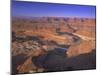 Dead Horse Point Overlook, Canyonlands National Park, Utah, USA-Gavin Hellier-Mounted Photographic Print