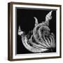 Dead Leaf, Hawaii, 1982-Brett Weston-Framed Premium Photographic Print